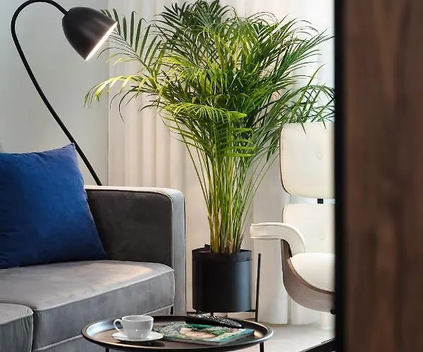 Palicki - Z Widokiem Na Morze